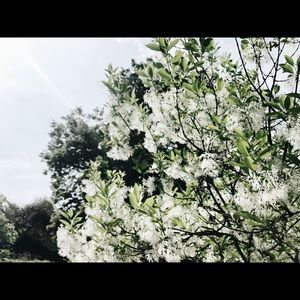 Meet your Posher, Benjii